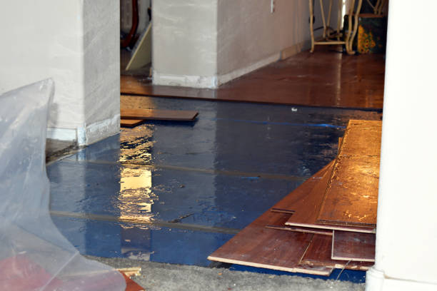 Professional Sewage Cleanup technician working in Peabody, MA