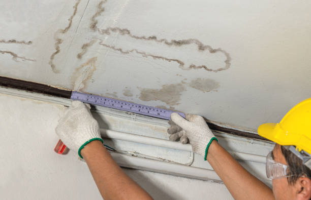 Reliable Sewage Cleanup contractor in Peabody, MA by Water Damage Irwin
